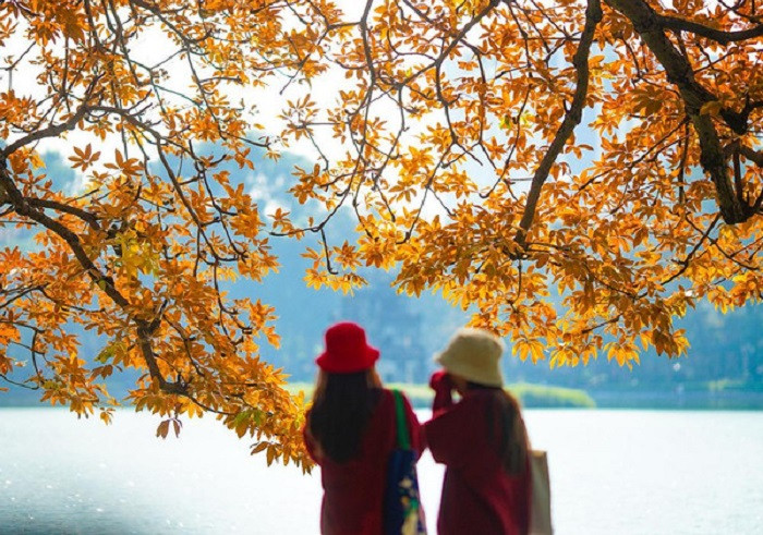 Nên đi du lịch ở đâu vào mùa thu?