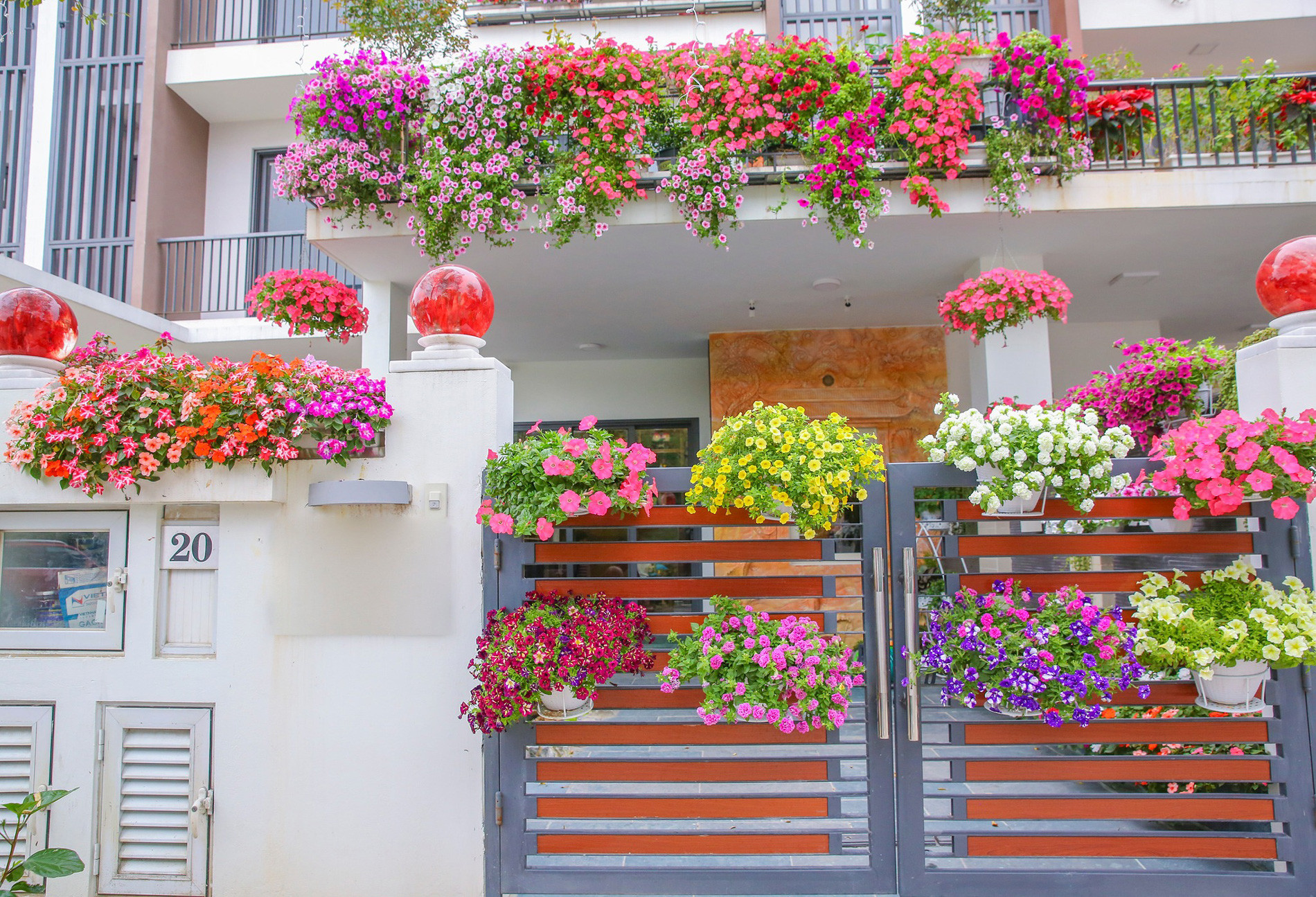 Biến Nhà Phố Thành Khu Vườn Hoa 400 Triệu Của Nữ Chủ Nhân Đam Mê Nông Nghiệp