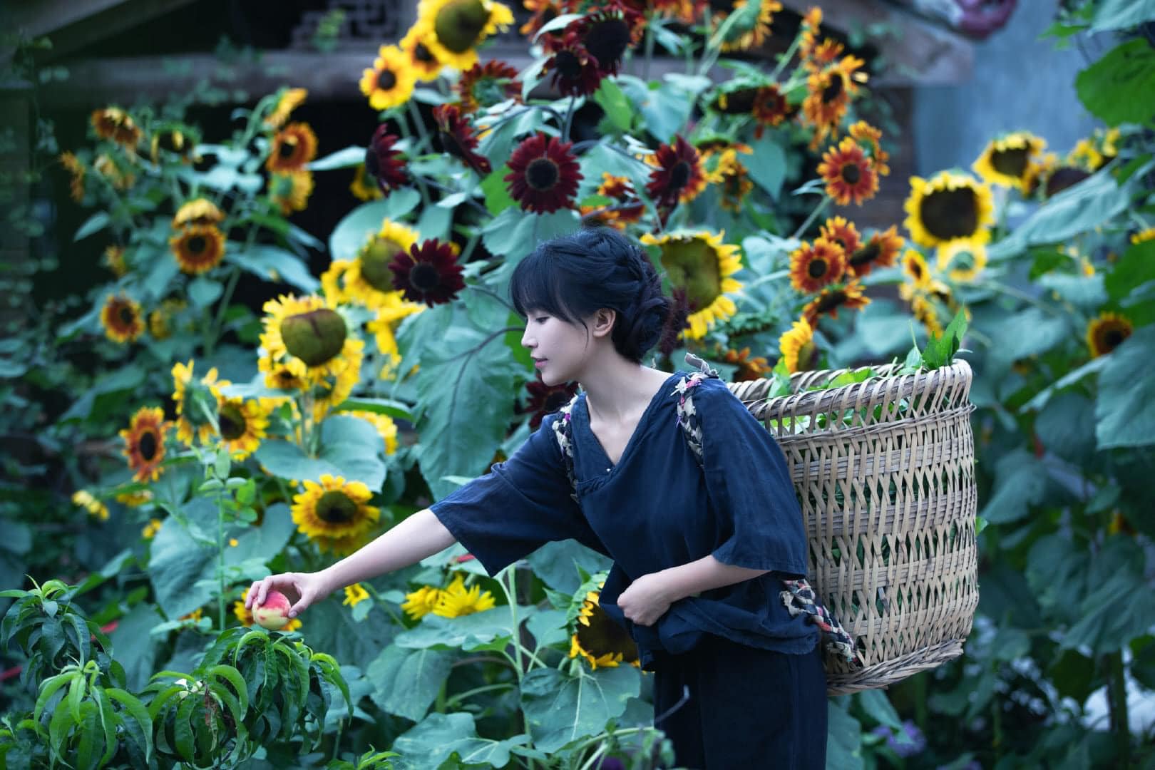 Lý Tử Thất trở lại sau 3 năm: Liệu có lấy lại được hào quang?