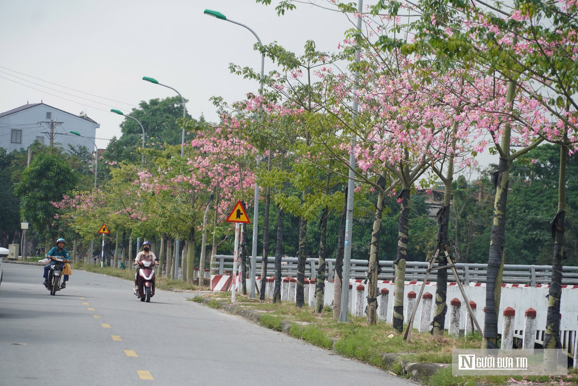 Xao xuyến với 'con đường Mỹ Nhân' tại Hà Tĩnh