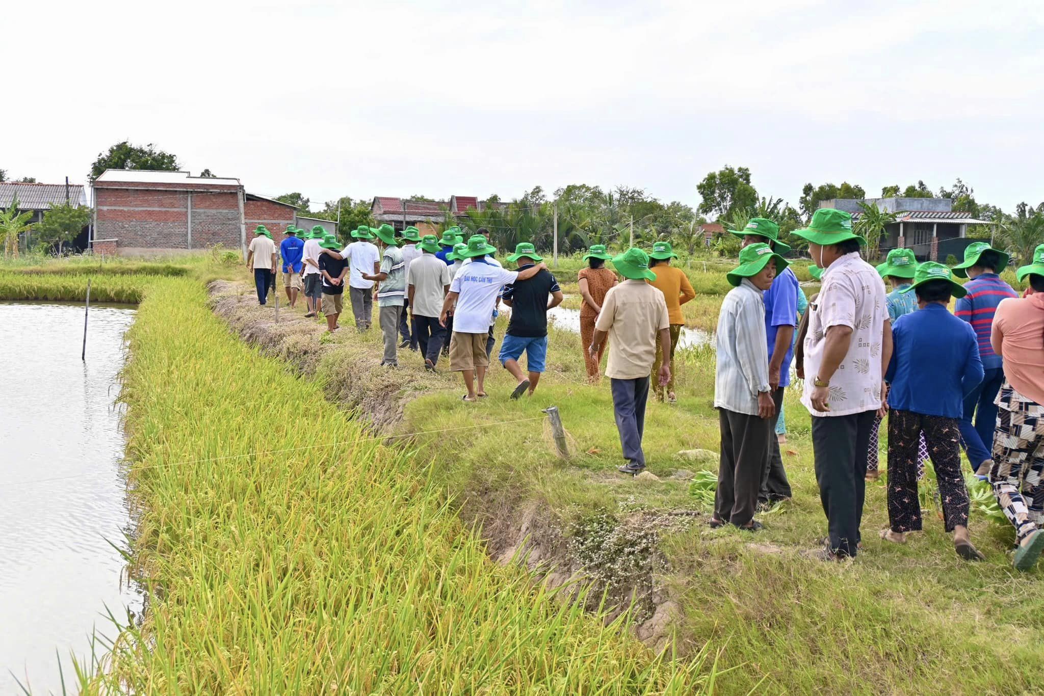 Làm nông hiện đại: Nhẹ nhàng nhưng hiệu quả vượt trội