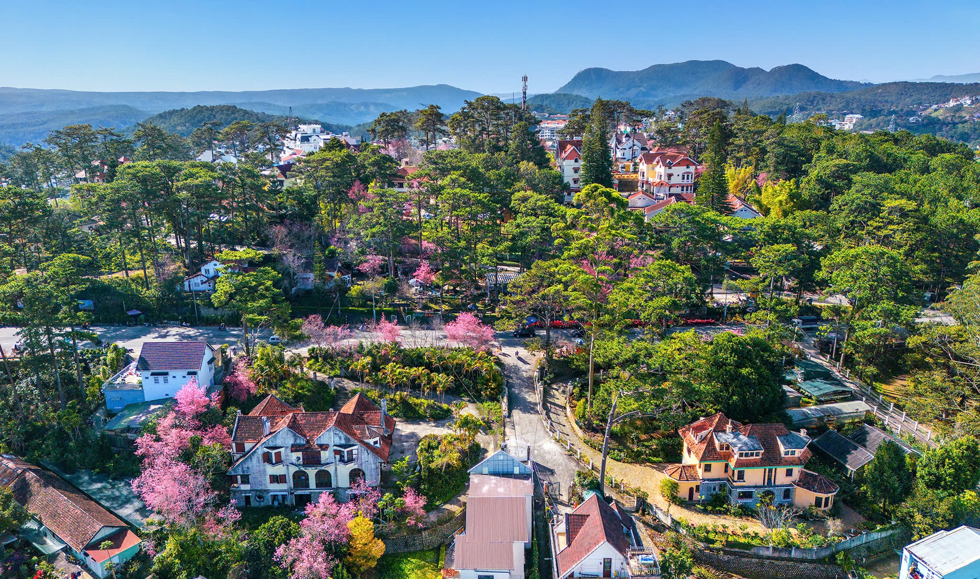 Mê mẩn nét đẹp Đà Lạt qua lăng kính của nhiếp ảnh gia