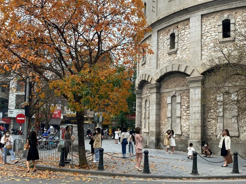 Mê xỉu với 'Góc Paris' giữa lòng Hà Nội tấp nập người check-in mùa lộc vừng rụng lá