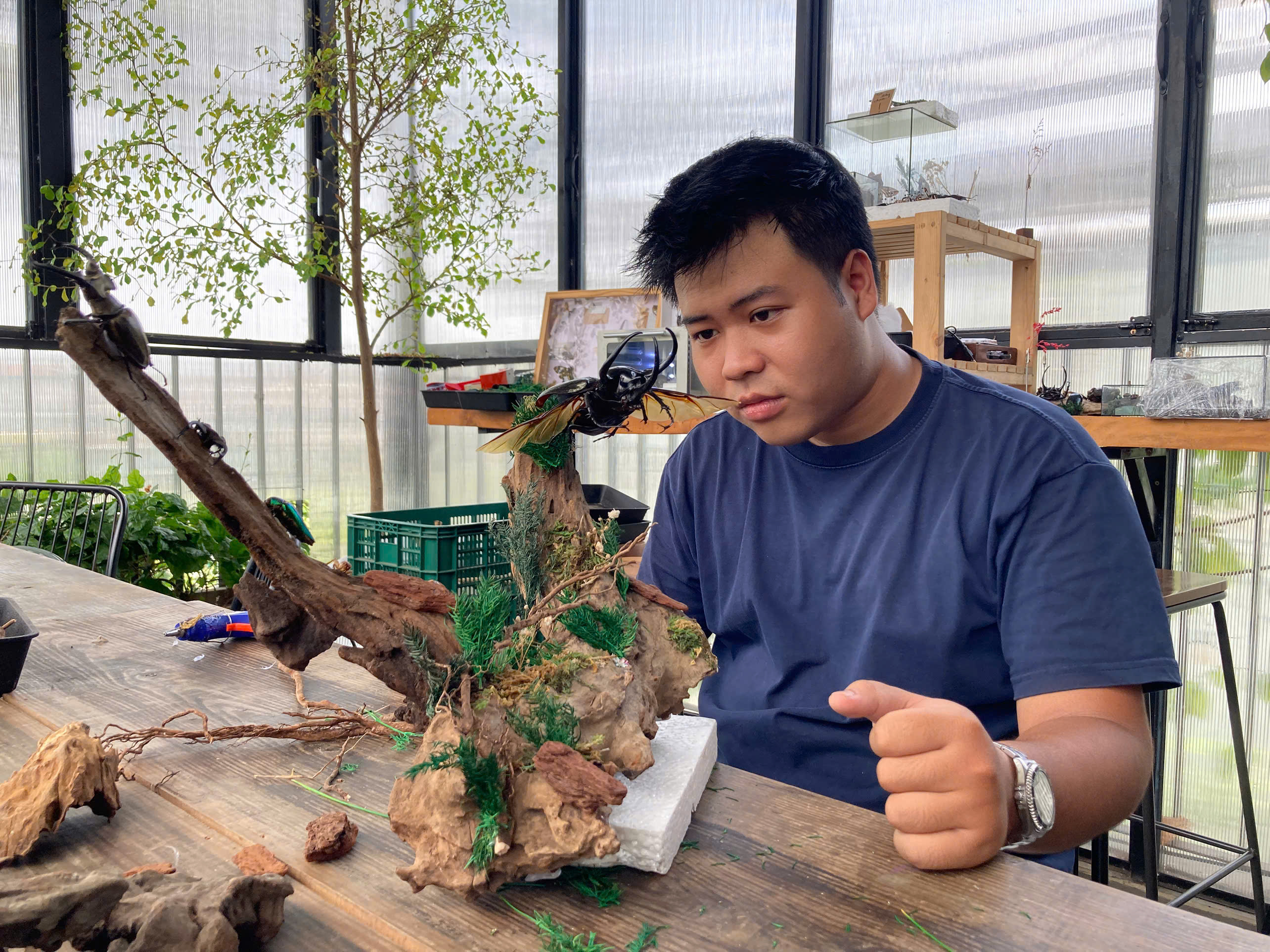 Chàng sinh viên đam mê côn trùng